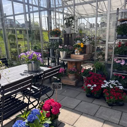 Drivhus med planter og borde